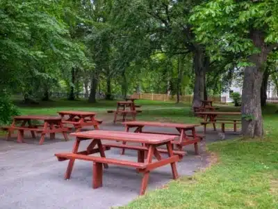 Zone Picnic Zone Picnic